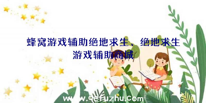 蜂窝游戏辅助绝地求生、绝地求生游戏辅助商城