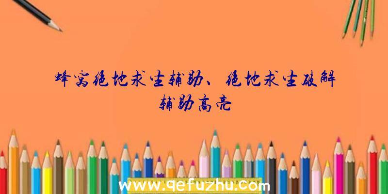 蜂窝绝地求生辅助、绝地求生破解辅助高亮