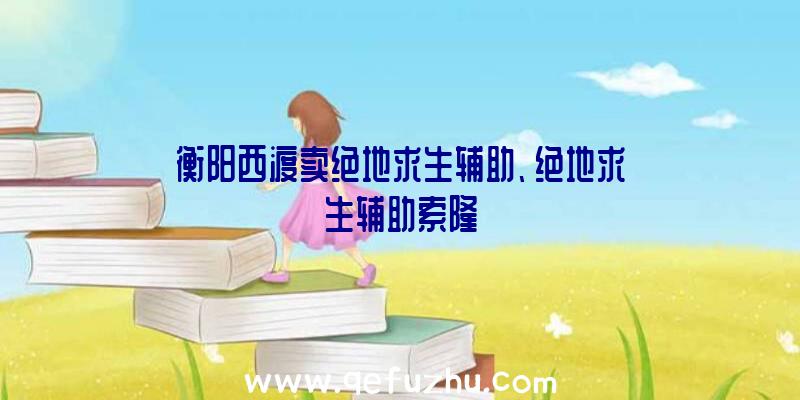 衡阳西渡卖绝地求生辅助、绝地求生辅助索隆