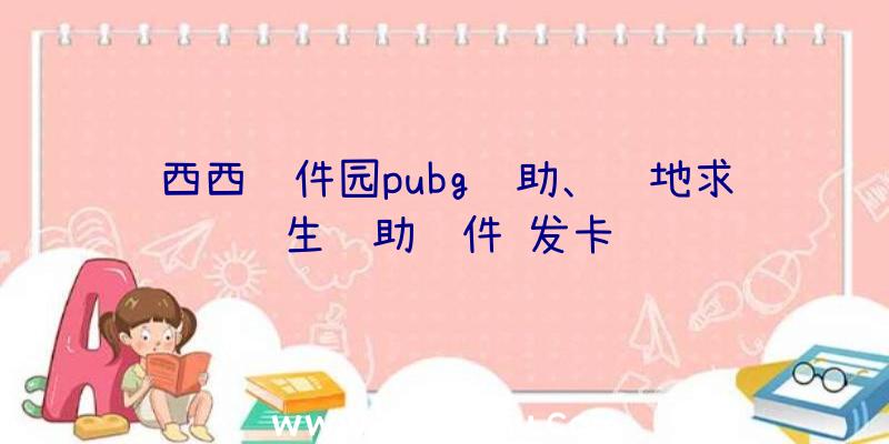 西西软件园pubg辅助、绝地求生辅助软件