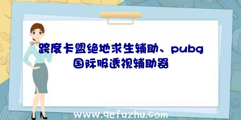 跨度卡盟绝地求生辅助、pubg国际服透视辅助器