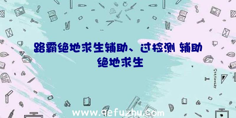 路霸绝地求生辅助、过检测