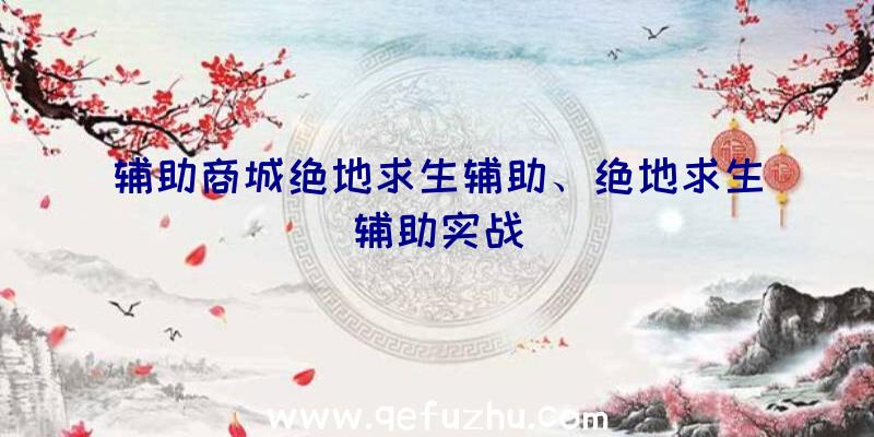 辅助商城绝地求生辅助、绝地求生辅助实战