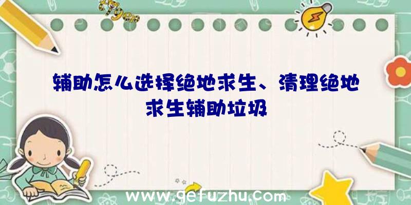 辅助怎么选择绝地求生、清理绝地求生辅助垃圾