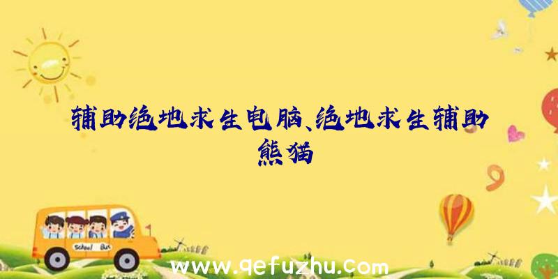 辅助绝地求生电脑、绝地求生辅助