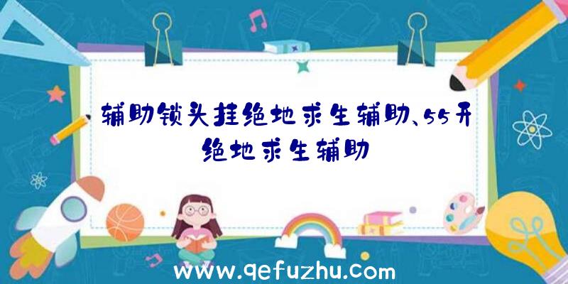 辅助锁头挂绝地求生辅助、55开绝地求生辅助