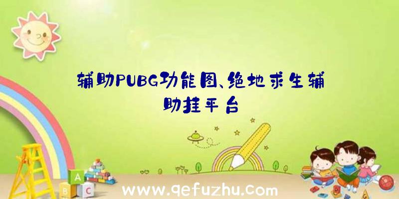 辅助PUBG功能图、绝地求生辅助挂平台