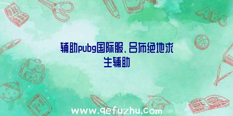 辅助pubg国际服、吕布绝地求生辅助