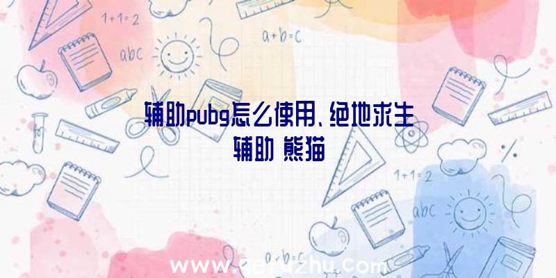 辅助pubg怎么使用、绝地求生辅助