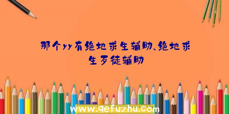 那个yy有绝地求生辅助、绝地求生歹徒辅助