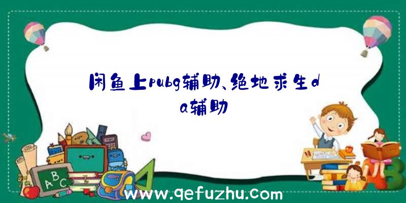 闲鱼上pubg辅助、绝地求生da辅助