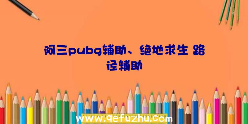 阿三pubg辅助、绝地求生