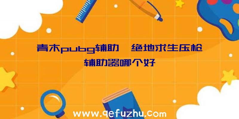 青木pubg辅助、绝地求生压枪辅助器哪个好