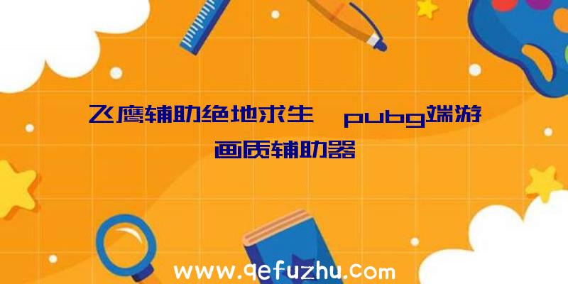 飞鹰辅助绝地求生、pubg端游画质辅助器