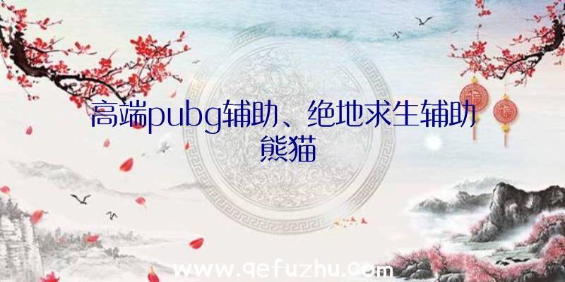 高端pubg辅助、绝地求生辅助