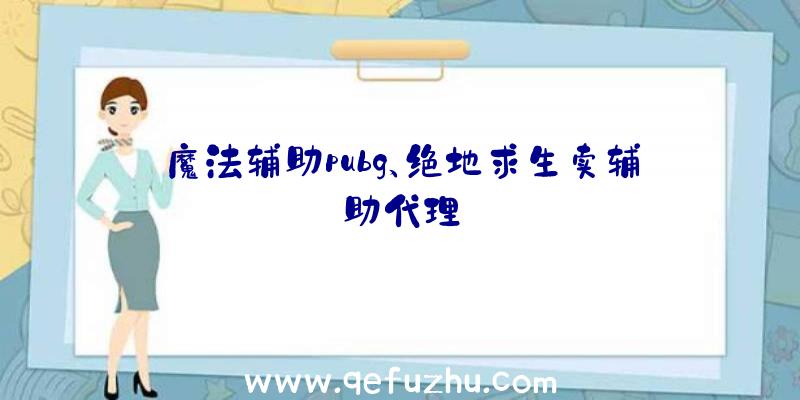 魔法辅助pubg、绝地求生卖辅助代理