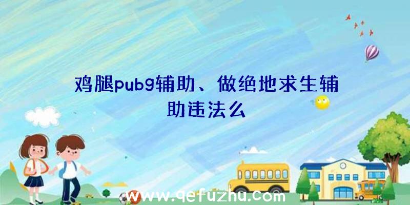 鸡腿pubg辅助、做绝地求生辅助违法么