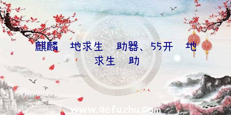 麒麟绝地求生辅助器、55开绝地求生辅助