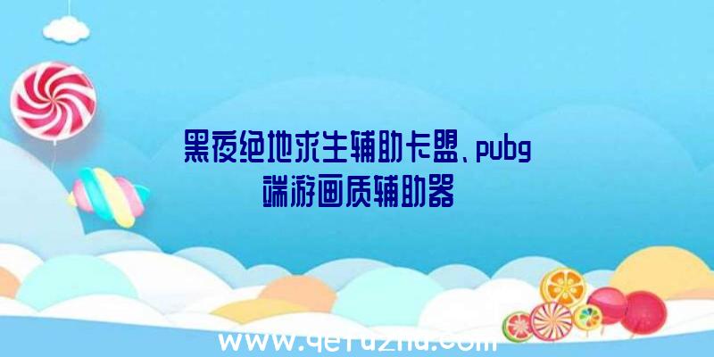 黑夜绝地求生辅助卡盟、pubg端游画质辅助器