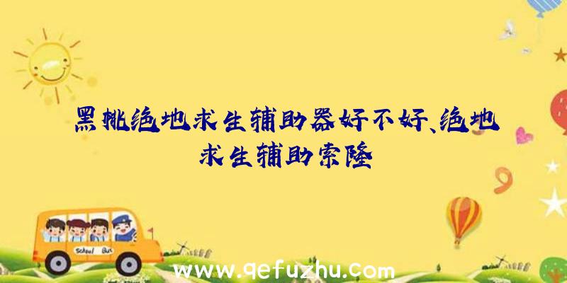 黑桃绝地求生辅助器好不好、绝地求生辅助索隆