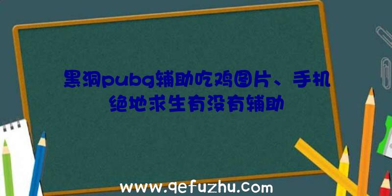 黑洞pubg辅助吃鸡图片、手机绝地求生有没有辅助