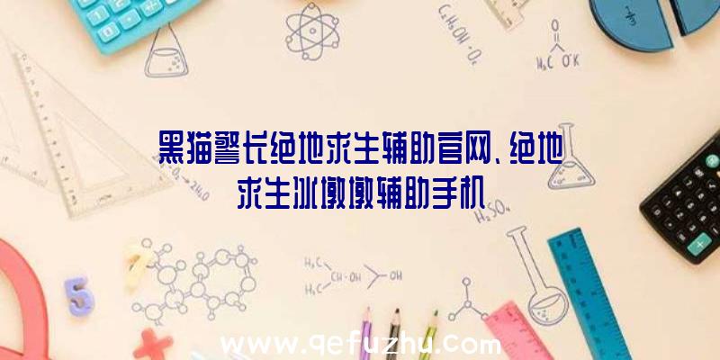 黑猫警长绝地求生辅助官网、绝地求生冰墩墩辅助手机