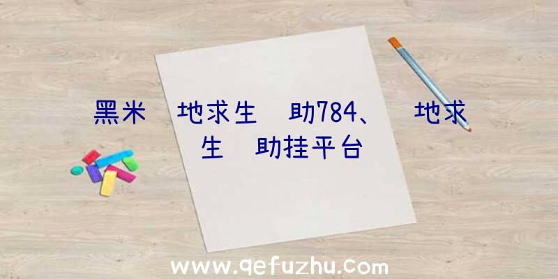 黑米绝地求生辅助784、绝地求生辅助挂平台