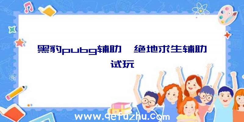 黑豹pubg辅助、绝地求生辅助试玩