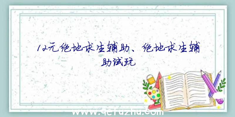 12元绝地求生辅助、绝地求生辅助试玩