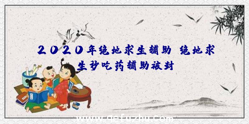 2020年绝地求生辅助、绝地求生秒吃药辅助被封