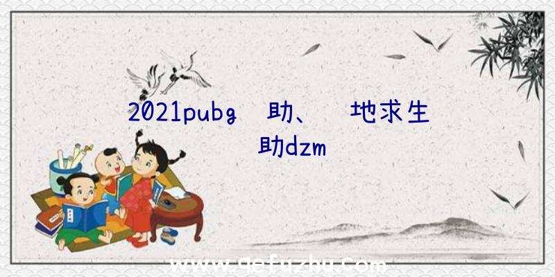 2021pubg辅助、绝地求生辅助dzm