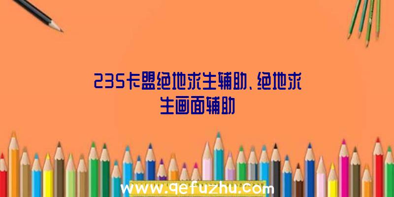 235卡盟绝地求生辅助、绝地求生画面辅助