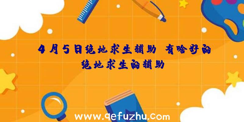 4月5日绝地求生辅助、有啥好的绝地求生的辅助