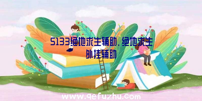 5133绝地求生辅助、绝地求生外挂辅助