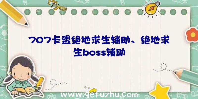 707卡盟绝地求生辅助、绝地求生boss辅助