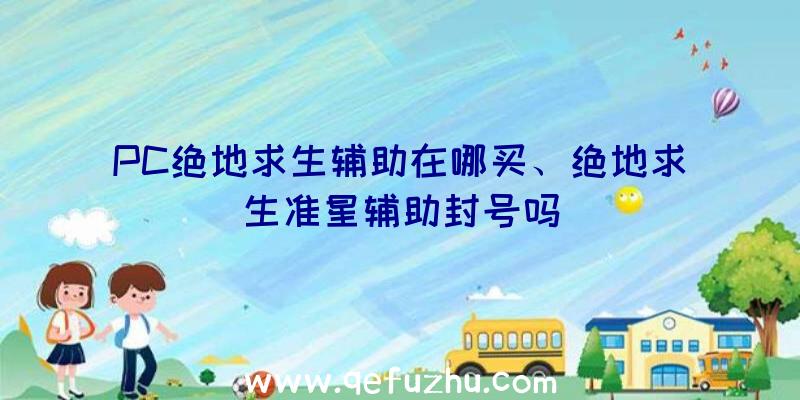 PC绝地求生辅助在哪买、绝地求生准星辅助封号吗