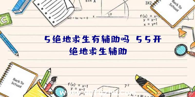 PS5绝地求生有辅助吗、55开绝地求生辅助