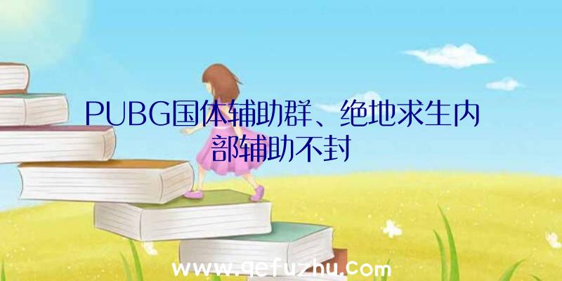 PUBG国体辅助群、绝地求生内部辅助不封