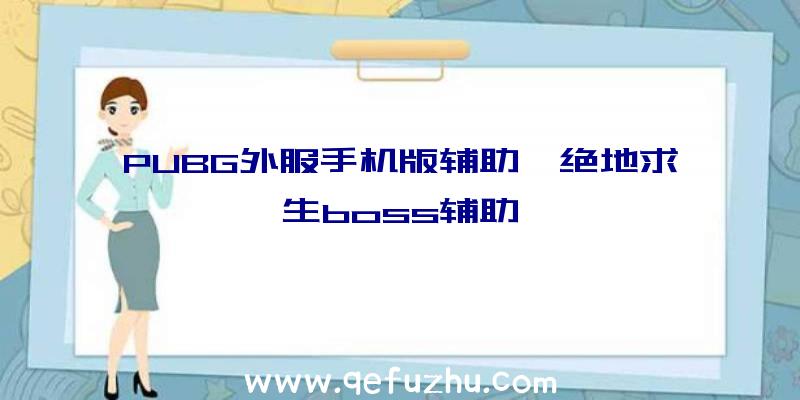 PUBG外服手机版辅助、绝地求生boss辅助