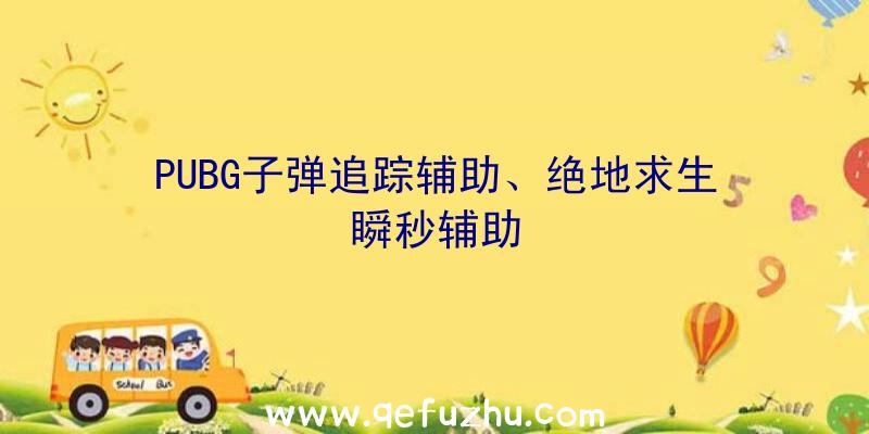 PUBG子弹追踪辅助、绝地求生瞬秒辅助