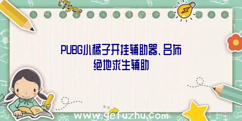 PUBG小橘子开挂辅助器、吕布绝地求生辅助