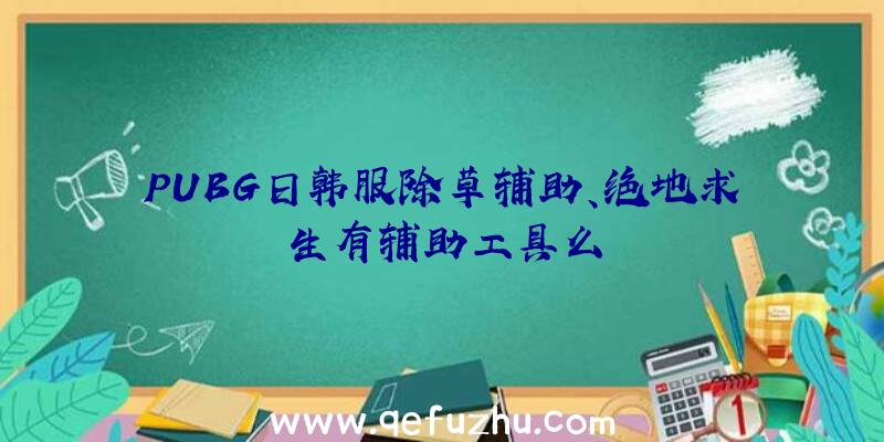 PUBG日韩服除草辅助、绝地求生有辅助工具么