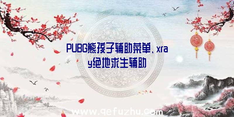 PUBG熊孩子辅助菜单、xray绝地求生辅助