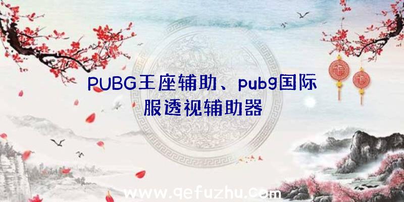 PUBG王座辅助、pubg国际服透视辅助器