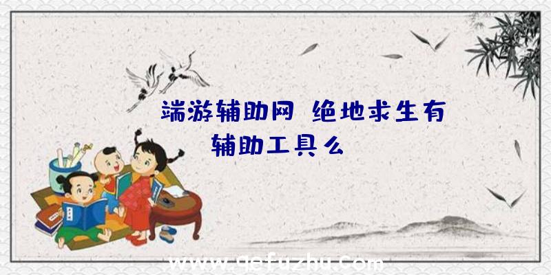 PUBG端游辅助网、绝地求生有辅助工具么