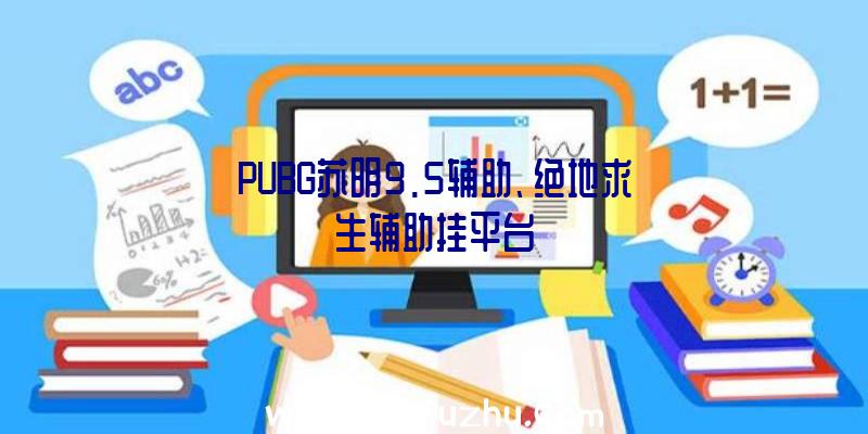 PUBG苏明9.5辅助、绝地求生辅助挂平台