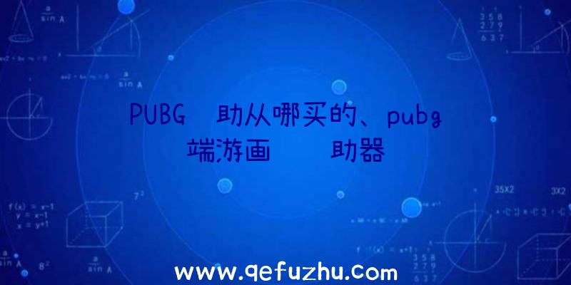 PUBG辅助从哪买的、pubg端游画质辅助器