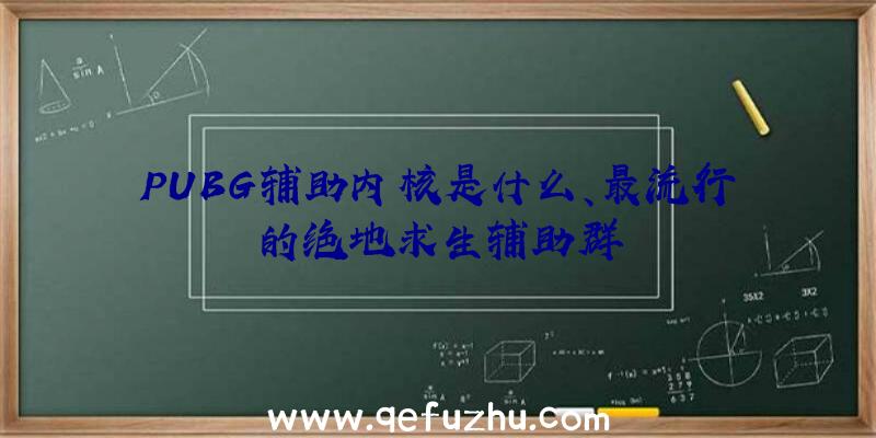 PUBG辅助内核是什么、最流行的绝地求生辅助群