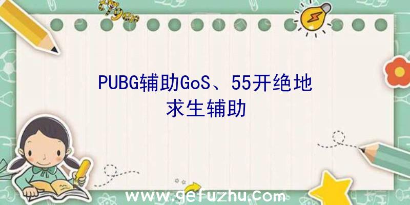 PUBG辅助GoS、55开绝地求生辅助