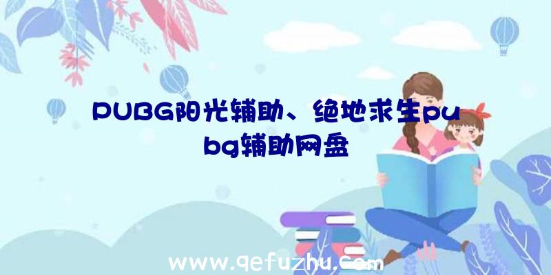 PUBG阳光辅助、绝地求生pubg辅助网盘